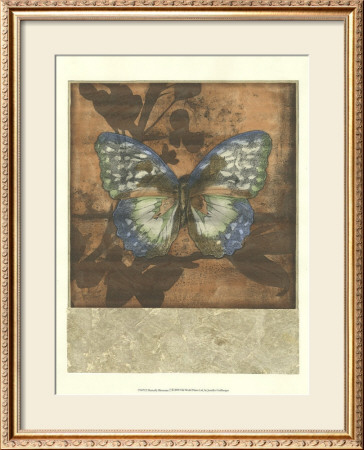 Butterfly Blossoms Ii by Jennifer Goldberger Pricing Limited Edition Print image