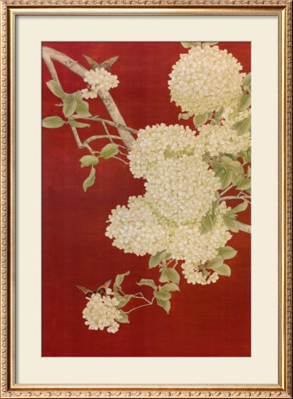 Butterfly And Hydrangea Ii by Liu Chang Pricing Limited Edition Print image
