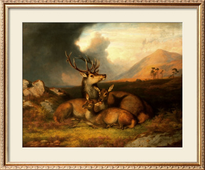 Highland Felicity, Ben Lebrig In The Background by James Williams Giles Pricing Limited Edition Print image