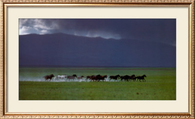 Wild And Free by David R. Stoecklein Pricing Limited Edition Print image