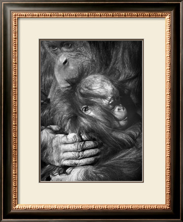 Good Hands by Charlie Morey Pricing Limited Edition Print image