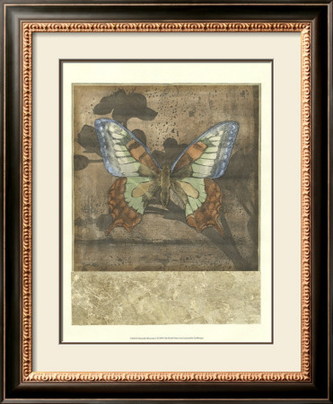 Butterfly Blossoms I by Jennifer Goldberger Pricing Limited Edition Print image
