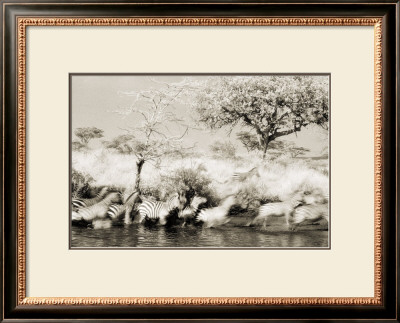 Serengeti I by Lorne Resnick Pricing Limited Edition Print image