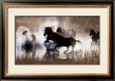The Lx Saddle Horses by David R. Stoecklein Pricing Limited Edition Print image