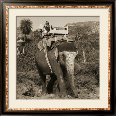 Man With Beard Riding Elephant by Nelson Figueredo Pricing Limited Edition Print image
