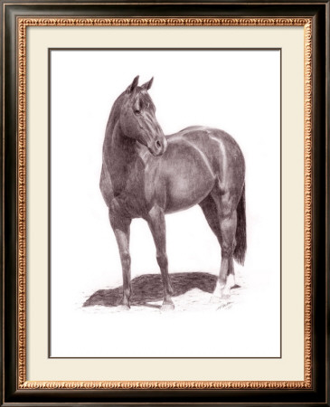 Calypso Pony by Lorrie Beck Pricing Limited Edition Print image
