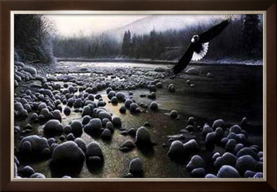 Eagle Over Water by Kevin Daniel Pricing Limited Edition Print image