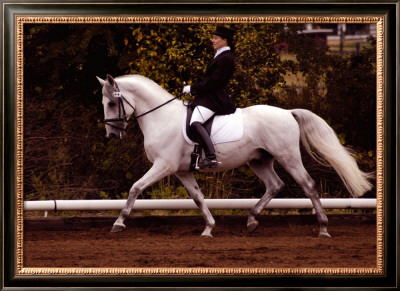 Dressage by Sara Stafford Pricing Limited Edition Print image