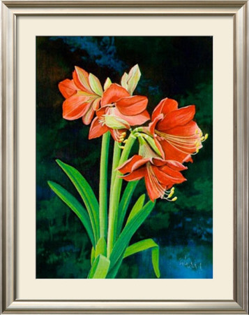 Amarillys by Franz Heigl Pricing Limited Edition Print image