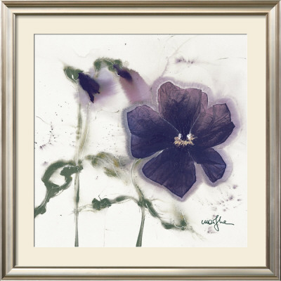 Pansies V by Marthe Pricing Limited Edition Print image