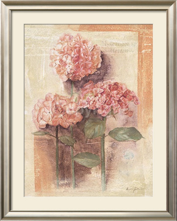 Rose Hydrangea by Anna Gardner Pricing Limited Edition Print image