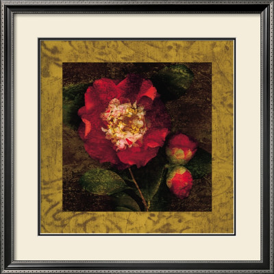 Red Camellias I by John Seba Pricing Limited Edition Print image