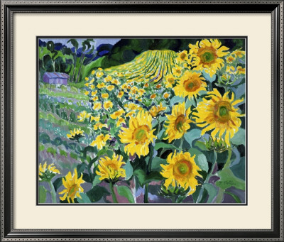 Sunflowers, Provence by Josephine Trotter Pricing Limited Edition Print image