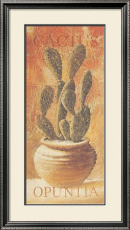 Opuntia by Pascal Cessou Pricing Limited Edition Print image