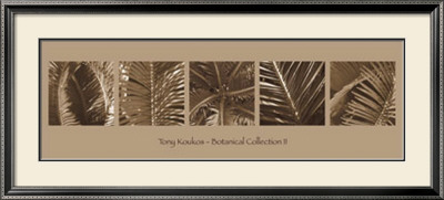 Botanical Collection Ii by Tony Koukos Pricing Limited Edition Print image