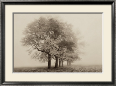 Harmony In Fog by Igor Svibilsky Pricing Limited Edition Print image