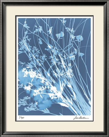 Flower Shadow Iv by Lois Bender Pricing Limited Edition Print image