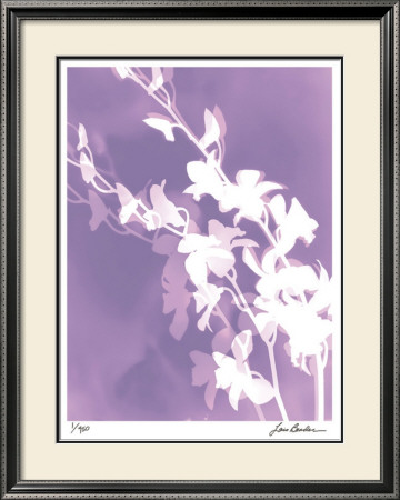 Flower Shadow V by Lois Bender Pricing Limited Edition Print image