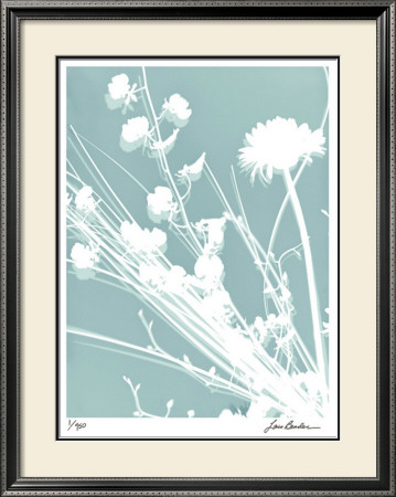 Flower Shadow Ii by Lois Bender Pricing Limited Edition Print image