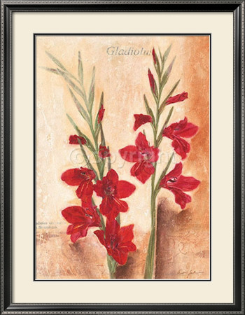 Graceful Gladioles by Anna Gardner Pricing Limited Edition Print image