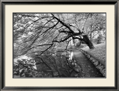 Japanese Garden by Henri Silberman Pricing Limited Edition Print image