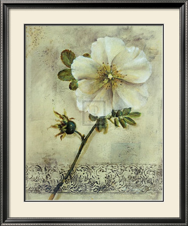Floral Blush I by Dennis Carney Pricing Limited Edition Print image