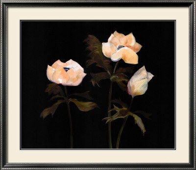 Midnight Anemones Ii by Marysia Burr Pricing Limited Edition Print image