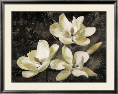 The Magnolia Tree by John Seba Pricing Limited Edition Print image