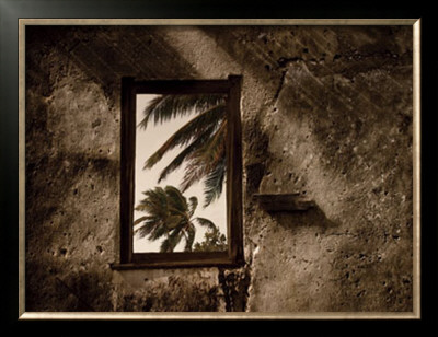 Palm View Ii by C. J. Groth Pricing Limited Edition Print image