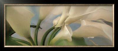 Calla Lilies Xxviii by Huntington Witherill Pricing Limited Edition Print image
