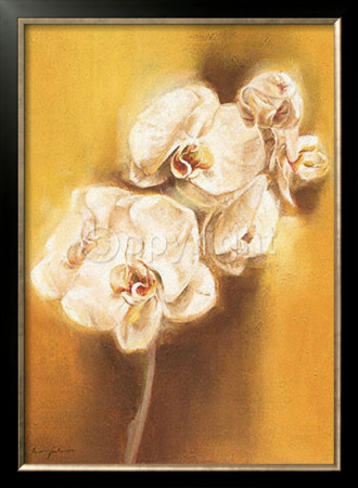 Glowing White Orchids by Anna Gardner Pricing Limited Edition Print image