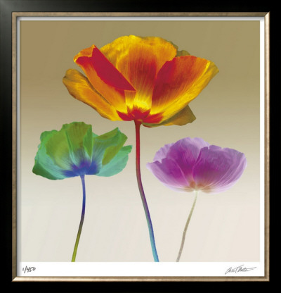 Poppy Chromatic by Robert Mertens Pricing Limited Edition Print image