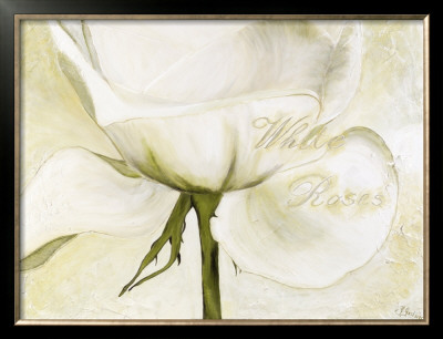 White Roses Ii by Heidi Gerstner Pricing Limited Edition Print image