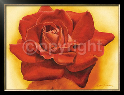 Red Satin Rose by Annemarie Peter-Jaumann Pricing Limited Edition Print image