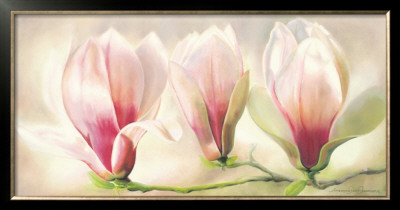 Magnolia Soulangiana by Annemarie Peter-Jaumann Pricing Limited Edition Print image