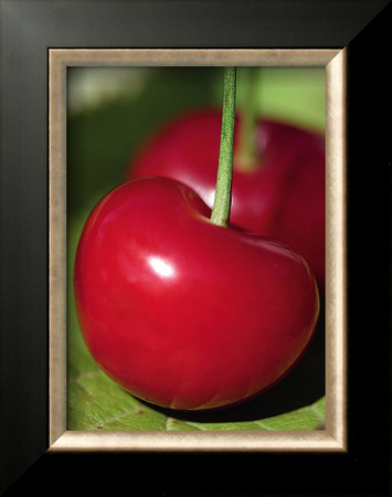 Bigarreau Cherries I by Sara Deluca Pricing Limited Edition Print image
