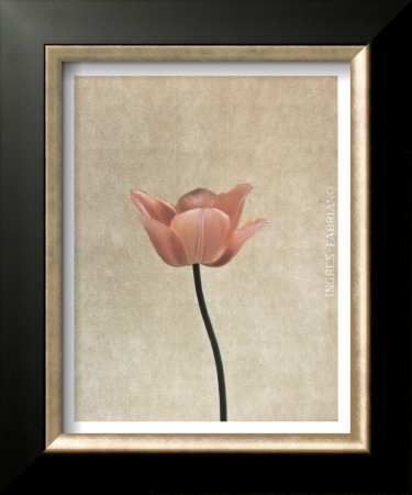 Pink Tulip by Helen Buttfield Pricing Limited Edition Print image