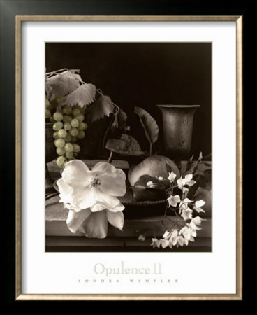 Opulance Ii by Sondra Wampler Pricing Limited Edition Print image