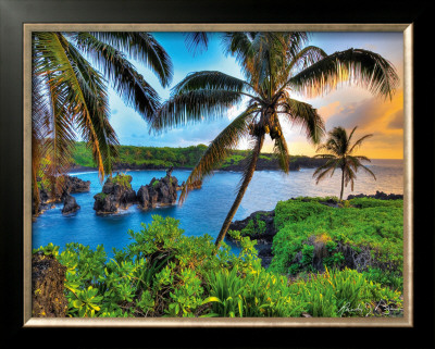Where Da Coconuts Grow by Randy Jay Braun Pricing Limited Edition Print image