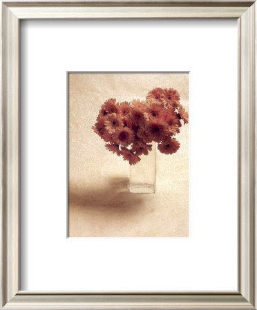 Cut Flowers Iv by Vincenzo Ferrato Pricing Limited Edition Print image