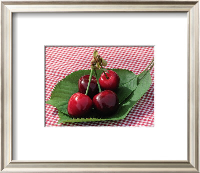 Morello Cherries I by Sara Deluca Pricing Limited Edition Print image