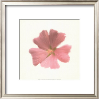 Petales Roses I by Tasmin Phoeni Pricing Limited Edition Print image