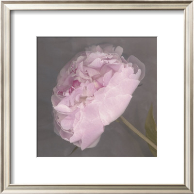 Fleur by Erin Clark Pricing Limited Edition Print image