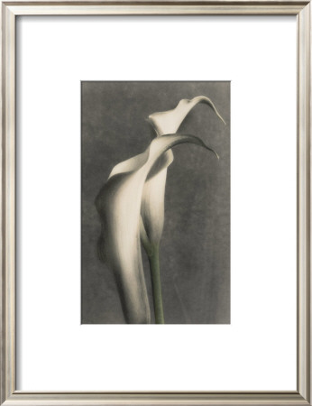 Two Lilies I by Diane Poinski Pricing Limited Edition Print image