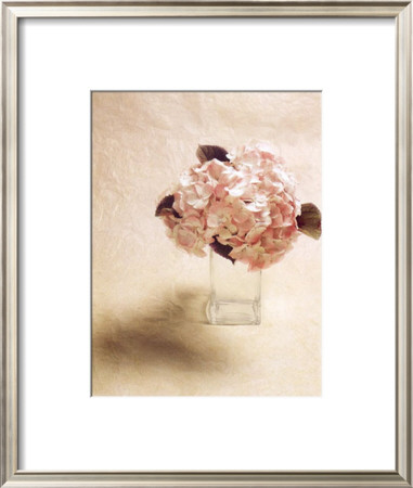 Cut Flowers I by Vincenzo Ferrato Pricing Limited Edition Print image