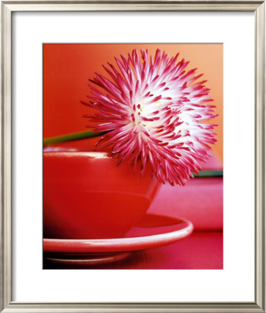 Flowers by Amelie Vuillon Pricing Limited Edition Print image