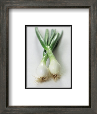 Spring Onion by Sara Deluca Pricing Limited Edition Print image