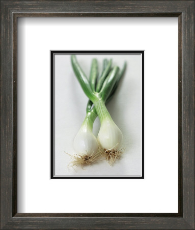 Spring Onion by Sara Deluca Pricing Limited Edition Print image