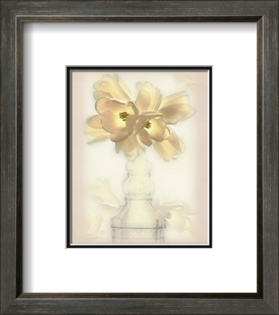 Lovely Tulip by Donna Geissler Pricing Limited Edition Print image