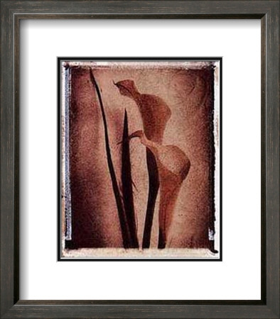 Calla Lily Study I by Dick & Diane Stefanich Pricing Limited Edition Print image